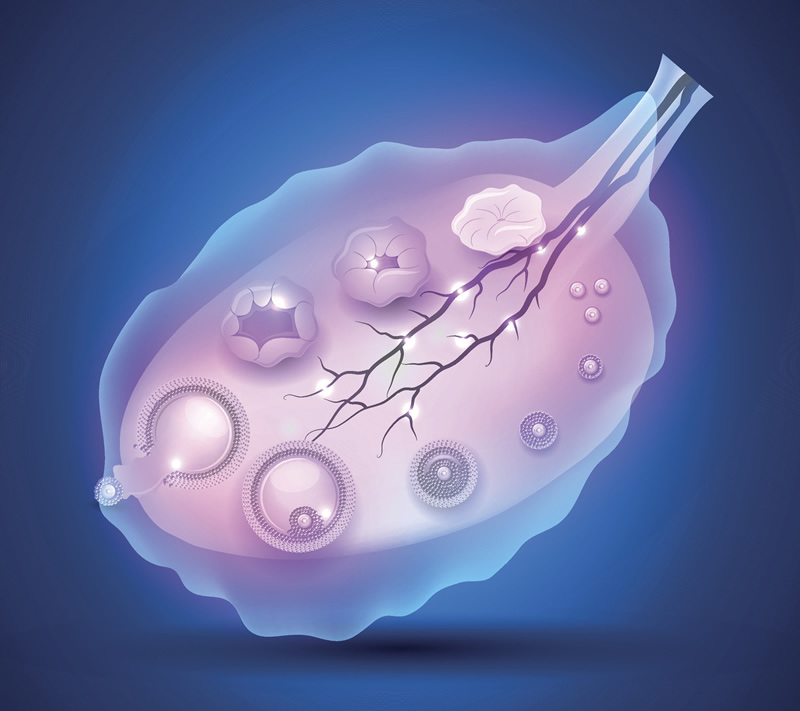 2026年北京试管婴儿医院排名与收费标准详解：36岁高龄备孕选北医三院、协和医院等三甲机构，附费用明细与医保政策解读